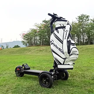 Photo of Electric Golf Scooter