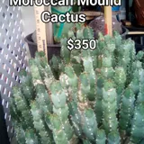 Listing Photo Thumb #3
