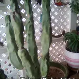 Listing Photo Thumb #4