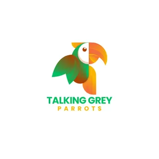 Photo of Parrots For Sale In UK