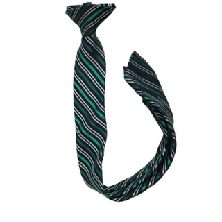 Photo of Boy's Navy Blue and Green Stripe Clip On Necktie Tie 15"