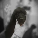 Listing Photo Thumb #3