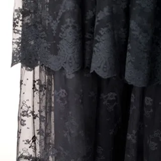 Photo of Albert Capraro Lace Dress