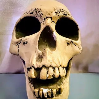Photo of Vintage 1974 Randotti Laughing Glow-in-the-Dark Skull #847 Original Disneyland/Walt Disney World Souvenir