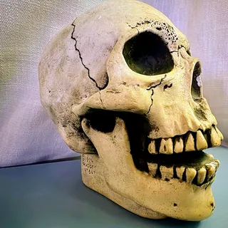 Photo of Vintage 1974 Randotti Laughing Glow-in-the-Dark Skull #847 Original Disneyland/Walt Disney World Souvenir