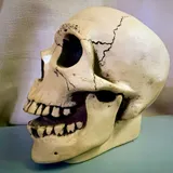 Listing Photo Thumb #4